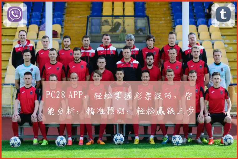 PC28 APP，轻松掌握彩票技巧，智能分析，精准预测，轻松赢钱三步走，必看攻略，不容错过