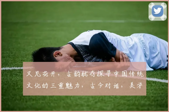 又见花开，古韵犹存探寻中国传统文化的三重魅力，古今对话，美学再发现